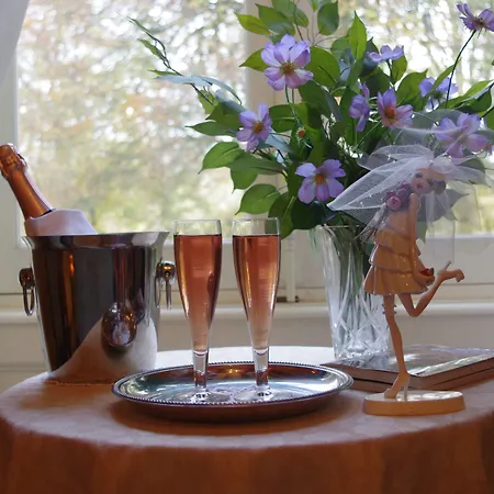 Domaine De Chatenay - Le Mans מלון 3*