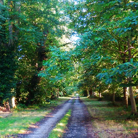 Domaine De Chatenay - Le Mans מלון 3*