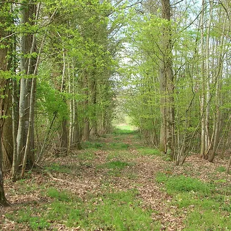 Domaine De Chatenay - Le Mans מלון סן-סטורנה
