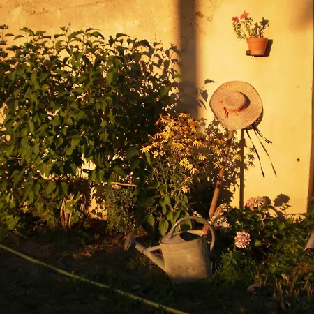 Domaine De Chatenay - Le Mans