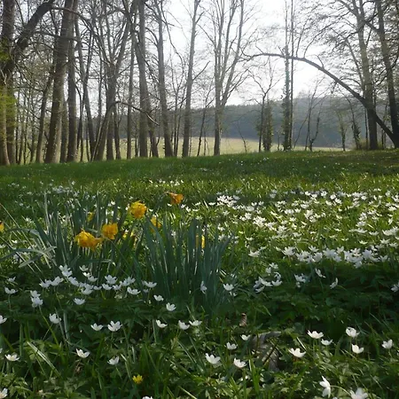 Domaine De Chatenay - Le Mans מלון 3*