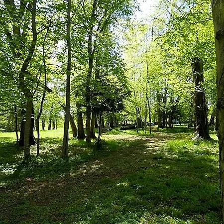 Hotel Domaine De Chatenay - Le Mans Saint-Saturnin (Sarthe)