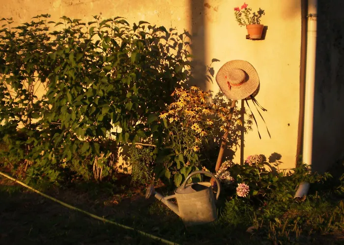 Domaine De Chatenay - Le Mans