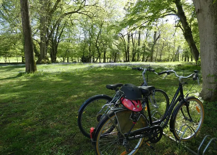 Domaine De Chatenay - Le Mans